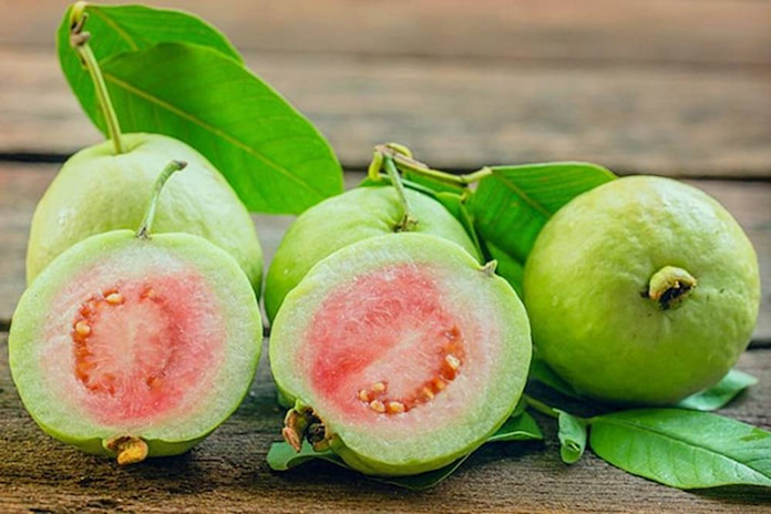 Quả ổi có hàm lượng vitamin rất cao