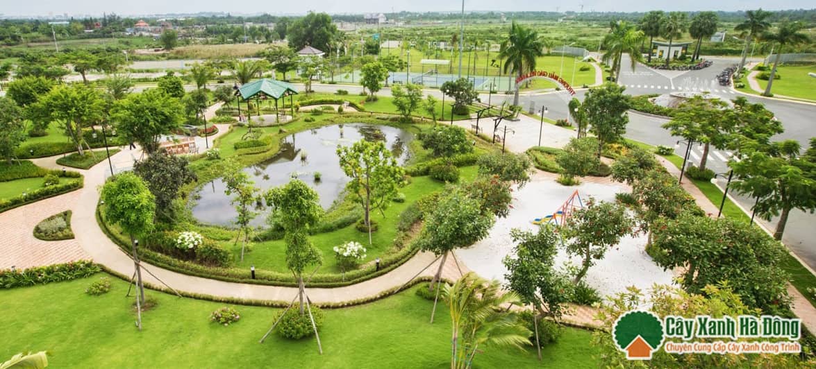 Vườn Cây Xanh Hà Đông cung cấp các loại cây xanh